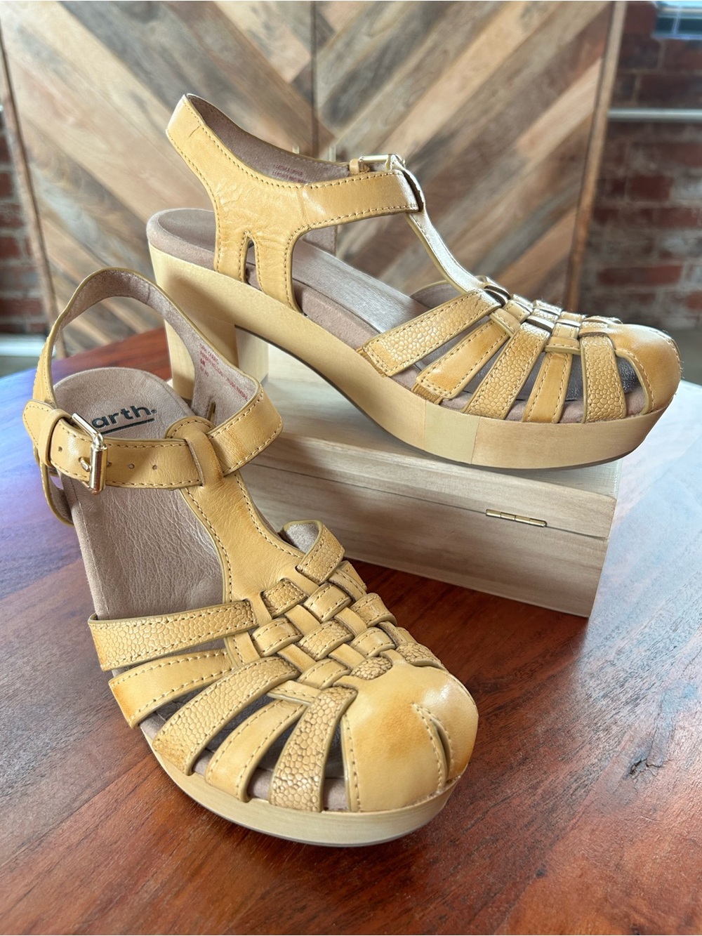 NWOT Earth Woven Leather Mary Jane Clogs - Size 6